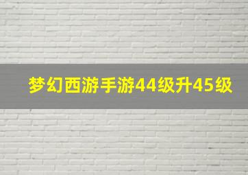 梦幻西游手游44级升45级