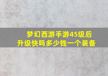 梦幻西游手游45级后升级快吗多少钱一个装备