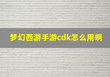 梦幻西游手游cdk怎么用啊