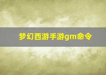 梦幻西游手游gm命令