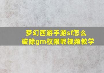 梦幻西游手游sf怎么破除gm权限呢视频教学