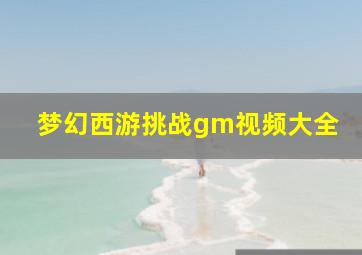 梦幻西游挑战gm视频大全