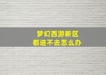 梦幻西游新区都进不去怎么办