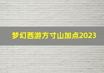 梦幻西游方寸山加点2023