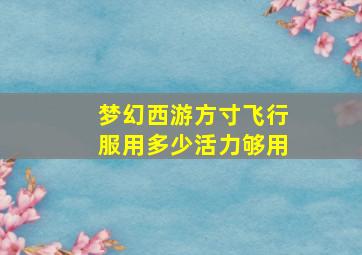 梦幻西游方寸飞行服用多少活力够用