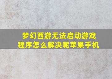 梦幻西游无法启动游戏程序怎么解决呢苹果手机