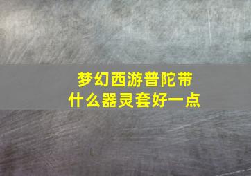 梦幻西游普陀带什么器灵套好一点