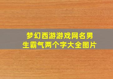 梦幻西游游戏网名男生霸气两个字大全图片