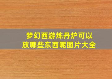 梦幻西游炼丹炉可以放哪些东西呢图片大全