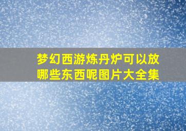 梦幻西游炼丹炉可以放哪些东西呢图片大全集