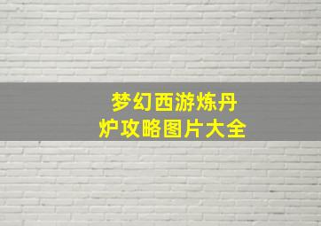 梦幻西游炼丹炉攻略图片大全