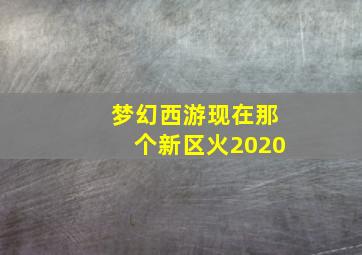 梦幻西游现在那个新区火2020