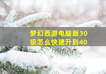 梦幻西游电脑版30级怎么快速升到40