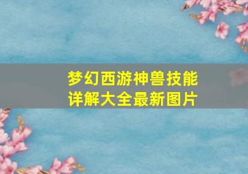 梦幻西游神兽技能详解大全最新图片