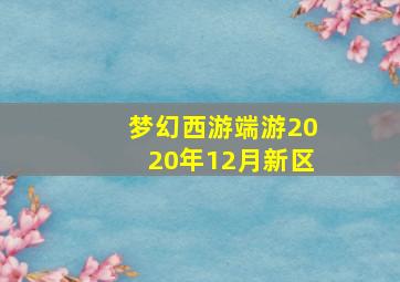 梦幻西游端游2020年12月新区