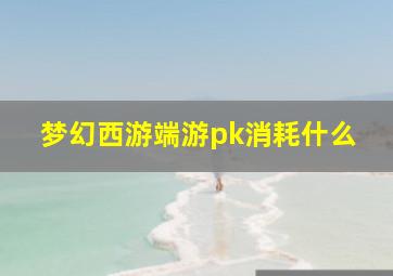 梦幻西游端游pk消耗什么