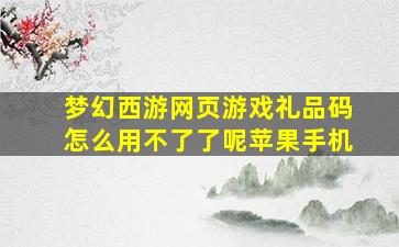 梦幻西游网页游戏礼品码怎么用不了了呢苹果手机