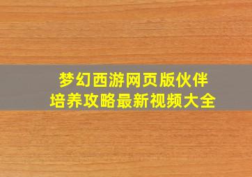 梦幻西游网页版伙伴培养攻略最新视频大全