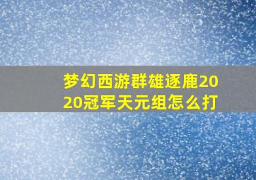 梦幻西游群雄逐鹿2020冠军天元组怎么打