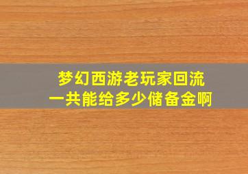 梦幻西游老玩家回流一共能给多少储备金啊