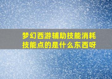 梦幻西游辅助技能消耗技能点的是什么东西呀