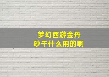 梦幻西游金丹砂干什么用的啊