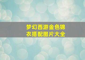 梦幻西游金色锦衣搭配图片大全