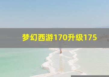 梦幻西游170升级175