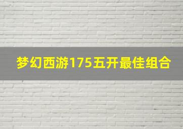 梦幻西游175五开最佳组合