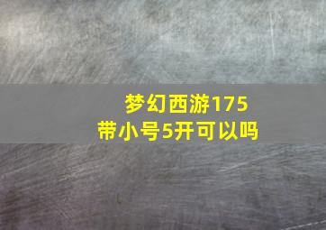 梦幻西游175带小号5开可以吗