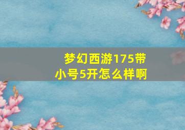 梦幻西游175带小号5开怎么样啊