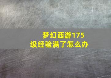 梦幻西游175级经验满了怎么办