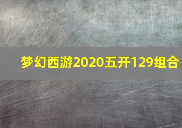 梦幻西游2020五开129组合