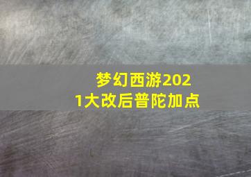 梦幻西游2021大改后普陀加点