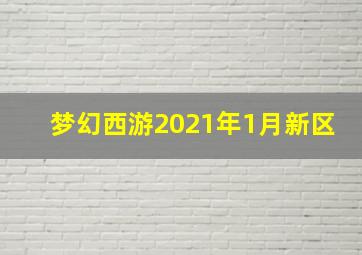 梦幻西游2021年1月新区