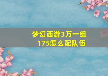 梦幻西游3万一组175怎么配队伍