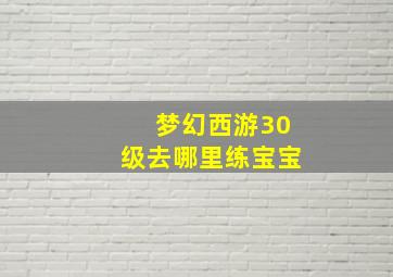 梦幻西游30级去哪里练宝宝