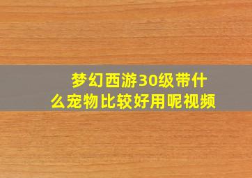 梦幻西游30级带什么宠物比较好用呢视频