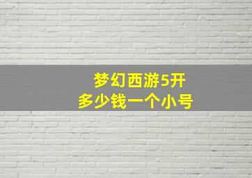 梦幻西游5开多少钱一个小号