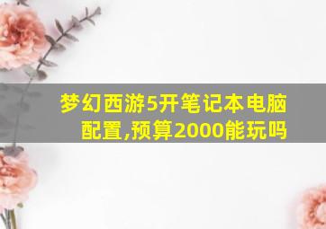 梦幻西游5开笔记本电脑配置,预算2000能玩吗