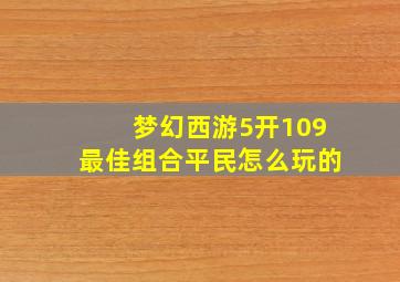 梦幻西游5开109最佳组合平民怎么玩的