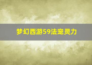 梦幻西游59法宠灵力