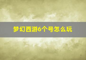 梦幻西游6个号怎么玩