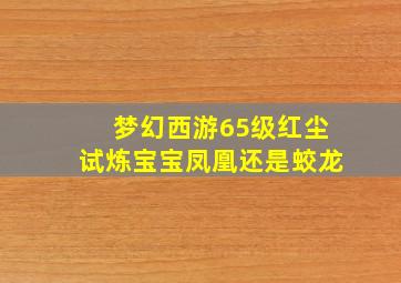 梦幻西游65级红尘试炼宝宝凤凰还是蛟龙