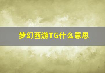 梦幻西游TG什么意思