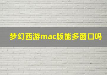 梦幻西游mac版能多窗口吗