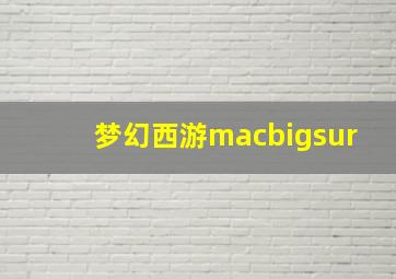 梦幻西游macbigsur