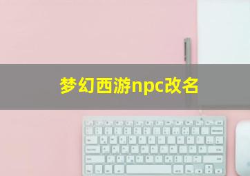 梦幻西游npc改名