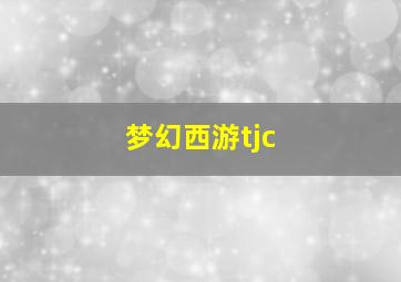 梦幻西游tjc