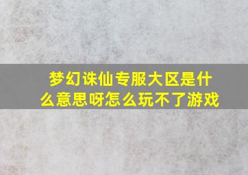 梦幻诛仙专服大区是什么意思呀怎么玩不了游戏